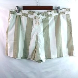 Liberal Arts L Tan Bold Striped Shorts